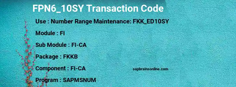 SAP FPN6_10SY transaction code