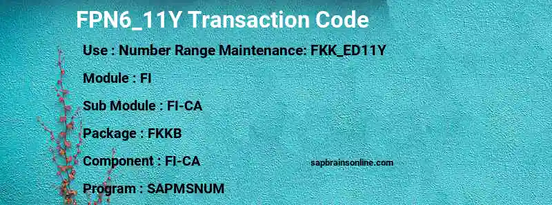 SAP FPN6_11Y transaction code