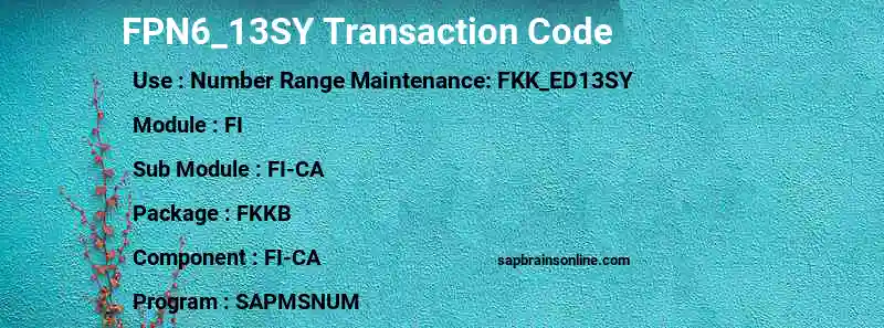 SAP FPN6_13SY transaction code