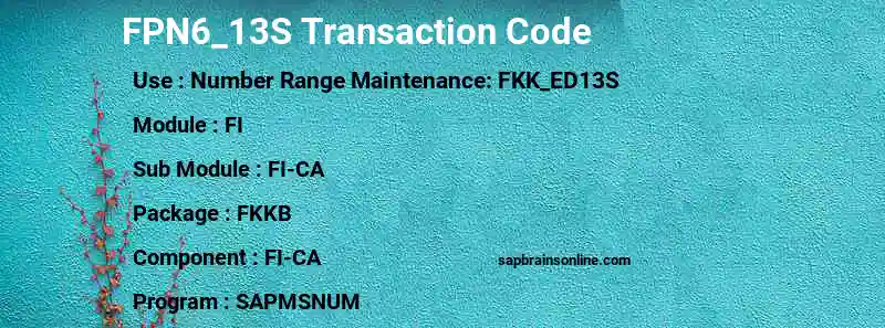 SAP FPN6_13S transaction code