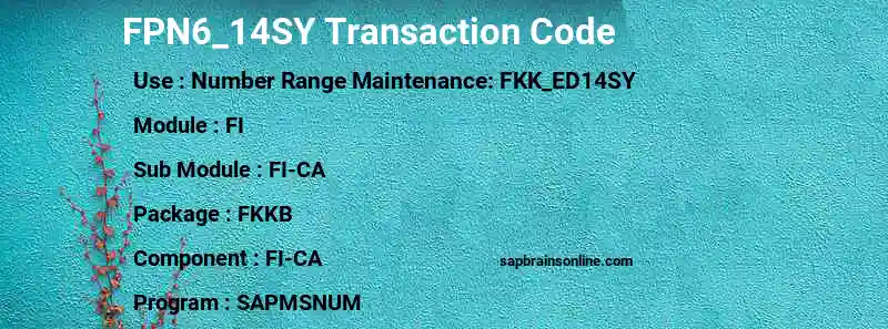 SAP FPN6_14SY transaction code