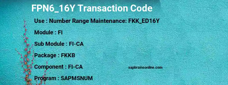 SAP FPN6_16Y transaction code