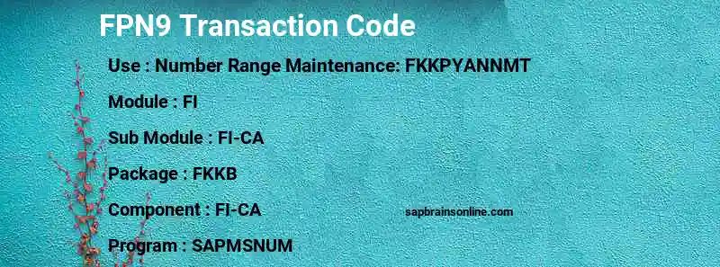 SAP FPN9 transaction code