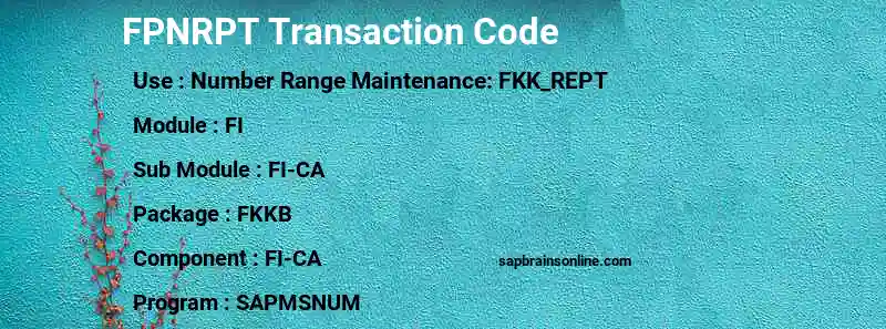 SAP FPNRPT transaction code