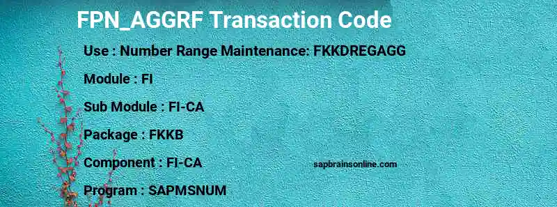 SAP FPN_AGGRF transaction code