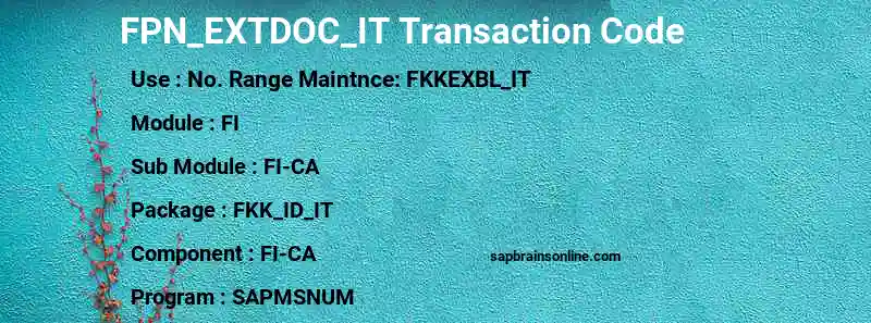 SAP FPN_EXTDOC_IT transaction code