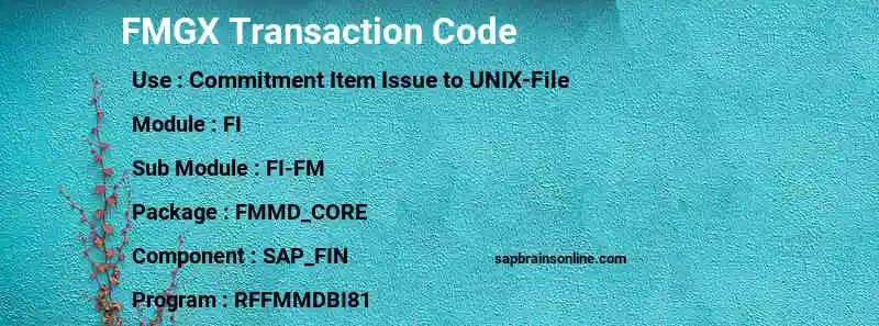 SAP FMGX transaction code