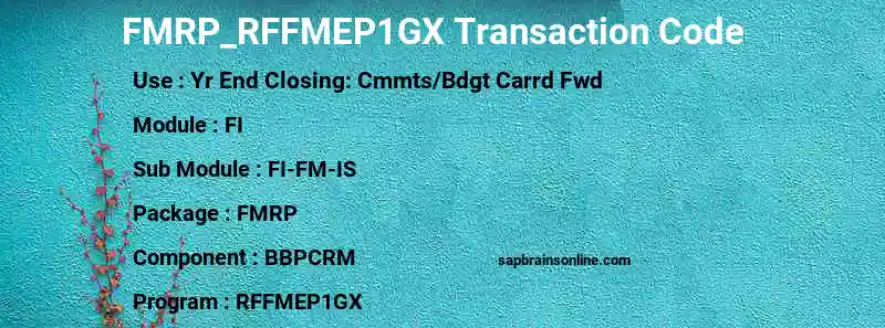 SAP FMRP_RFFMEP1GX transaction code