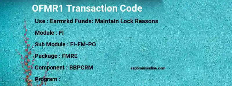 SAP OFMR1 transaction code
