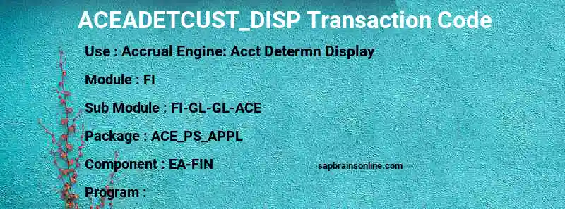 SAP ACEADETCUST_DISP transaction code