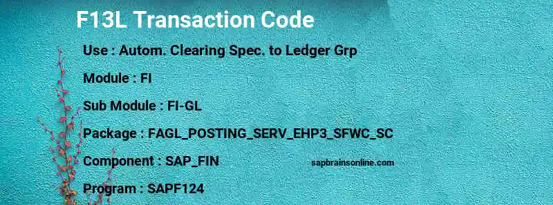 SAP F13L transaction code