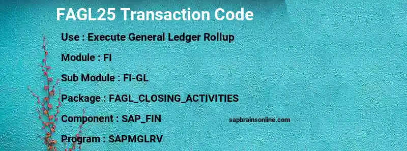 SAP FAGL25 transaction code