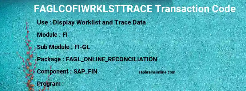 SAP FAGLCOFIWRKLSTTRACE transaction code