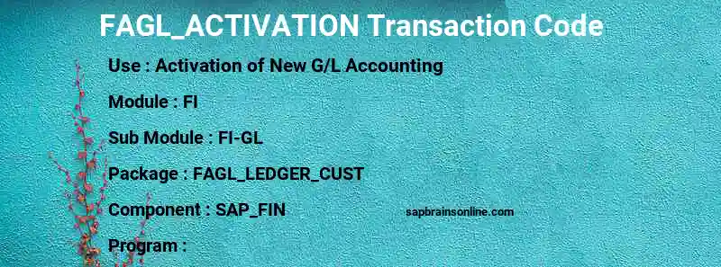 SAP FAGL_ACTIVATION transaction code