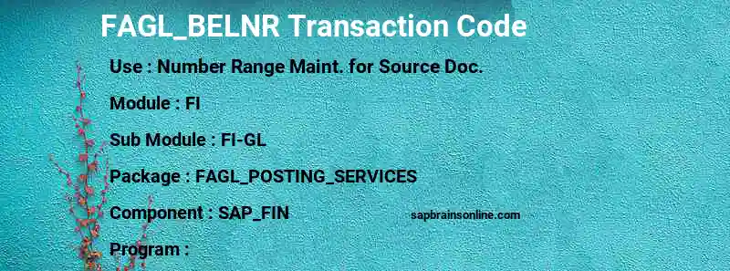 SAP FAGL_BELNR transaction code