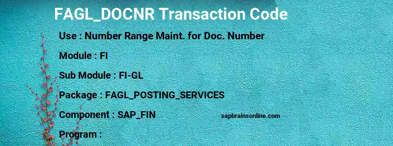 SAP FAGL_DOCNR transaction code
