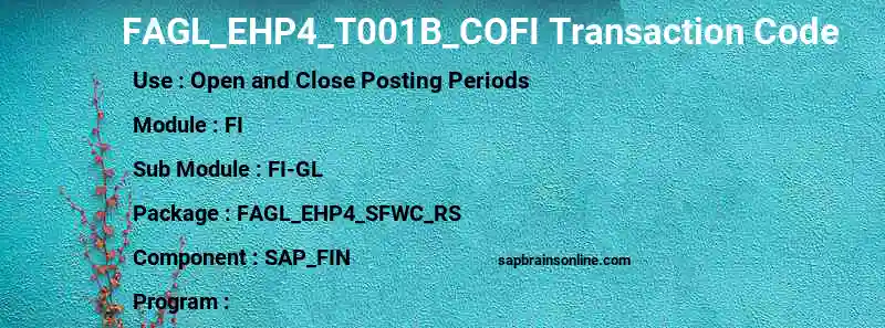 SAP FAGL_EHP4_T001B_COFI transaction code