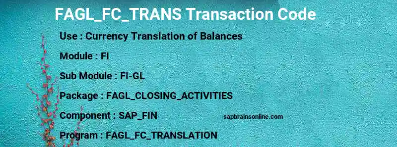 SAP FAGL_FC_TRANS transaction code