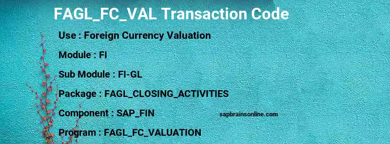 SAP FAGL_FC_VAL transaction code