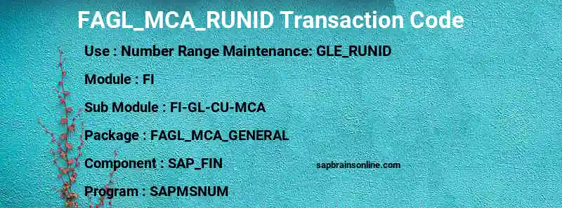 SAP FAGL_MCA_RUNID transaction code