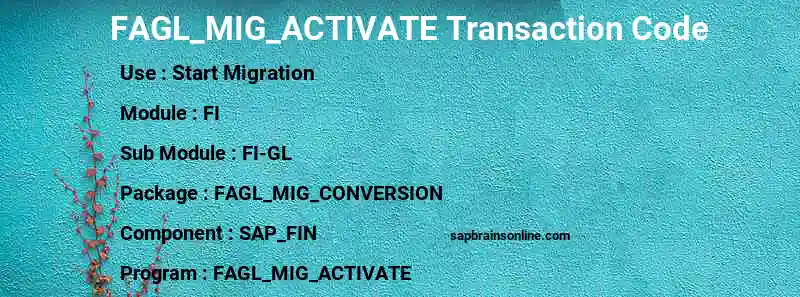 SAP FAGL_MIG_ACTIVATE transaction code