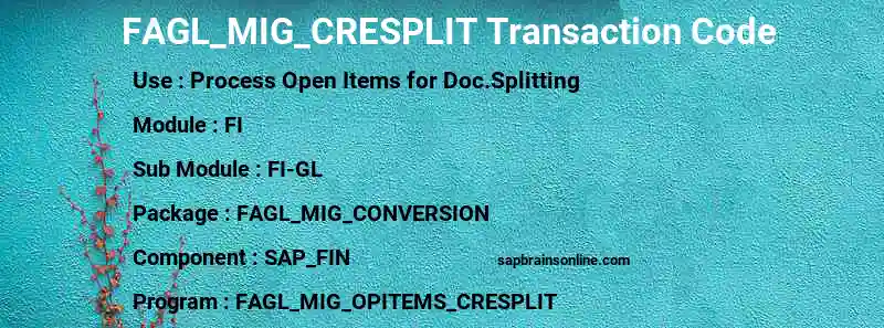 SAP FAGL_MIG_CRESPLIT transaction code