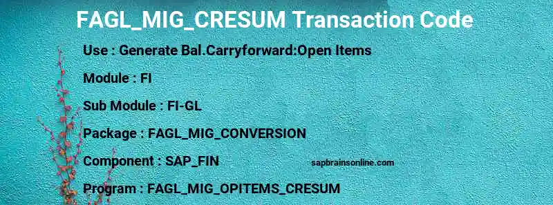 SAP FAGL_MIG_CRESUM transaction code