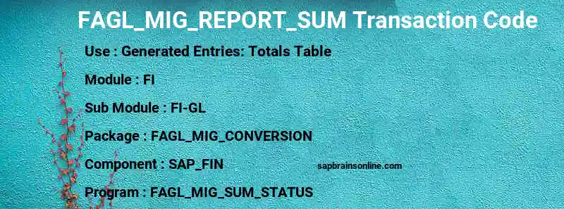 SAP FAGL_MIG_REPORT_SUM transaction code