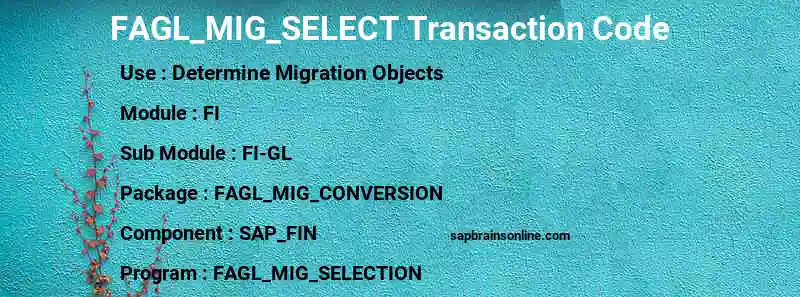 SAP FAGL_MIG_SELECT transaction code