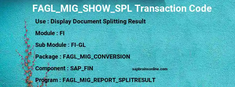 SAP FAGL_MIG_SHOW_SPL transaction code
