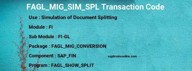 SAP FAGL_MIG_SIM_SPL transaction code
