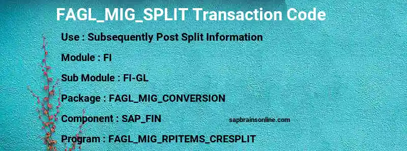 SAP FAGL_MIG_SPLIT transaction code