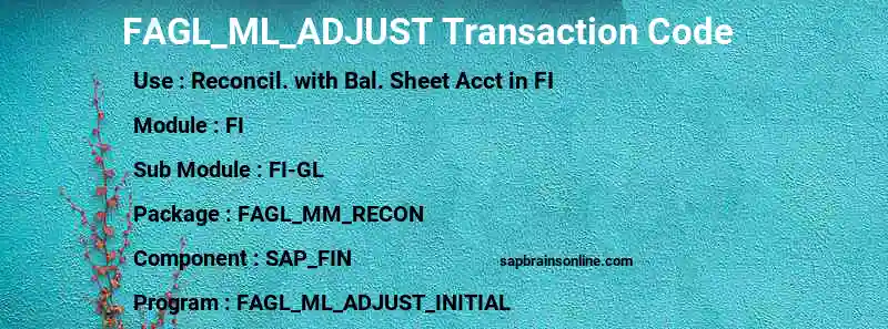 SAP FAGL_ML_ADJUST transaction code