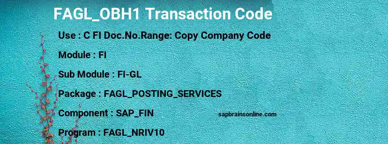 SAP FAGL_OBH1 transaction code