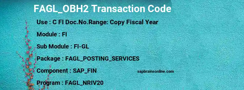 SAP FAGL_OBH2 transaction code
