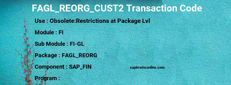 SAP FAGL_REORG_CUST2 transaction code