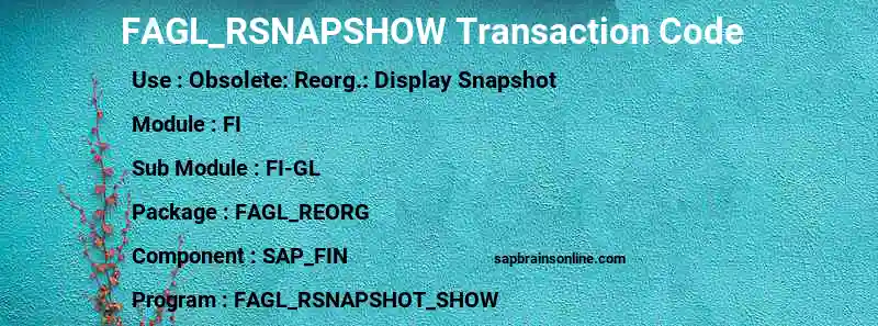 SAP FAGL_RSNAPSHOW transaction code