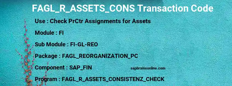 SAP FAGL_R_ASSETS_CONS transaction code
