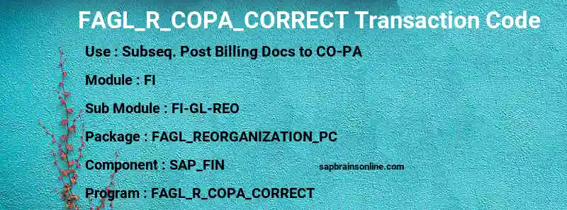 SAP FAGL_R_COPA_CORRECT transaction code