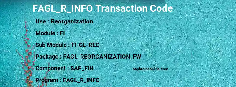 SAP FAGL_R_INFO transaction code
