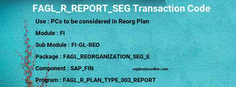 SAP FAGL_R_REPORT_SEG transaction code