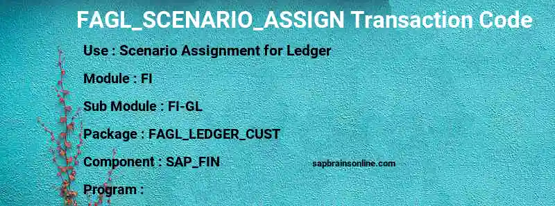 SAP FAGL_SCENARIO_ASSIGN transaction code