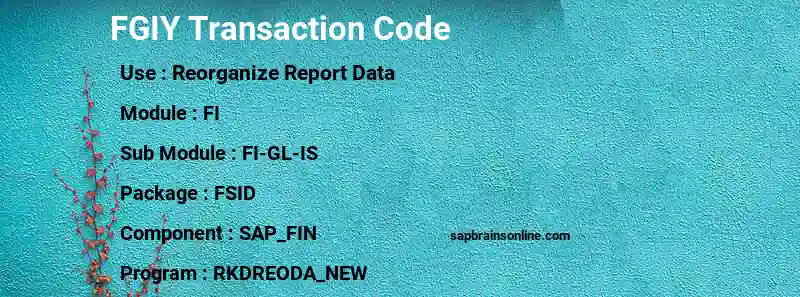 SAP FGIY transaction code
