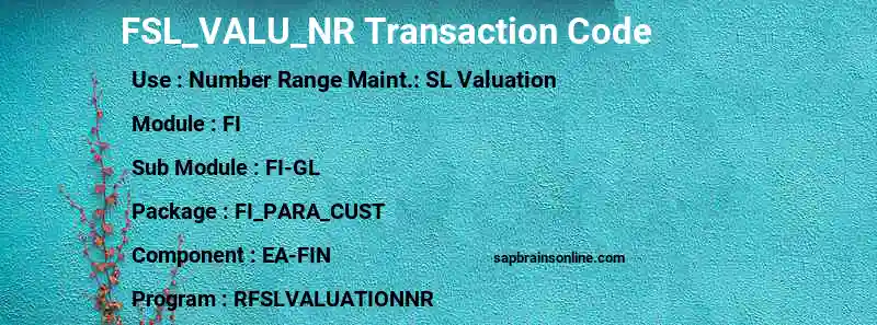 SAP FSL_VALU_NR transaction code