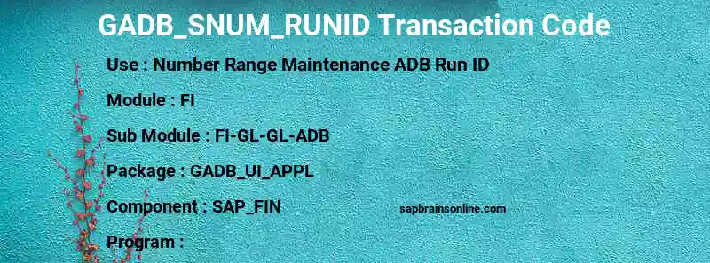 SAP GADB_SNUM_RUNID transaction code