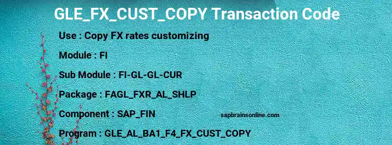 SAP GLE_FX_CUST_COPY transaction code