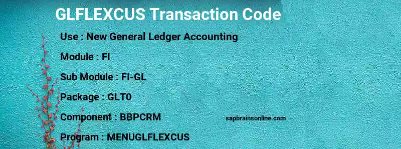 SAP GLFLEXCUS transaction code