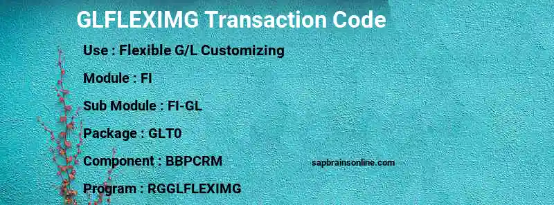 SAP GLFLEXIMG transaction code