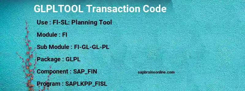 SAP GLPLTOOL transaction code