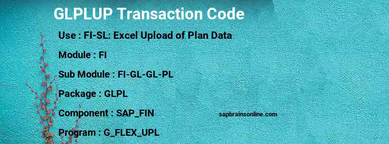 SAP GLPLUP transaction code
